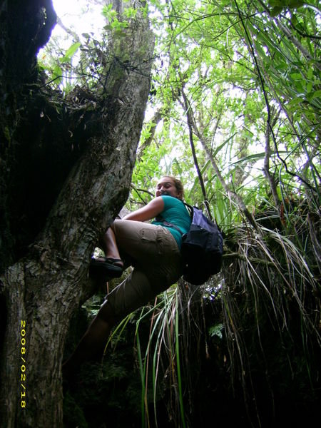 Climbing out of the caves...