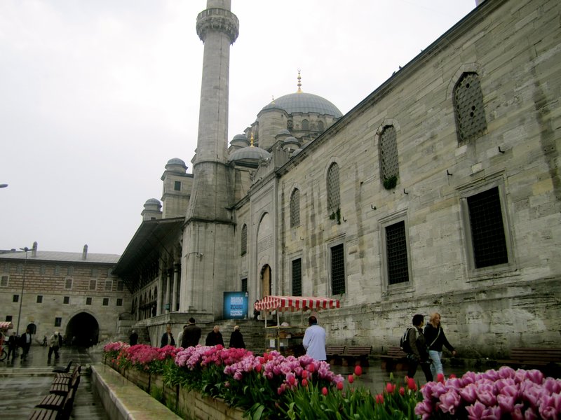 The New Mosque, Sultanahmet District (Historic Istanbul)