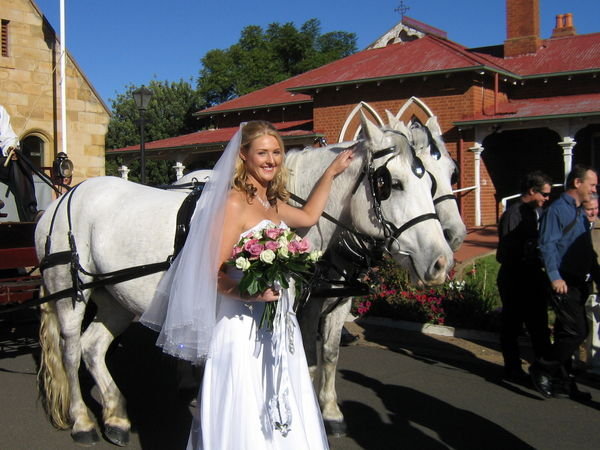 The Bride and her horses