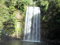 Millaa Millaa Falls, Atherton Tablelands