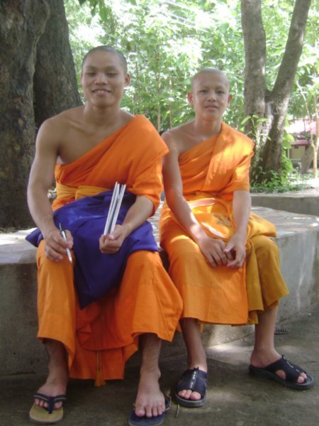 Novices Monks Friends