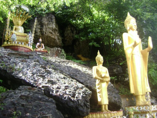 Images at Phu Si