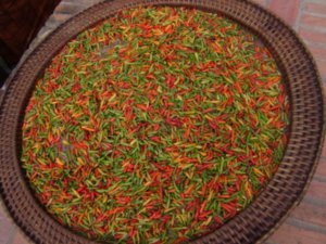 Colorful & Spicy Laotian Chillies!!!