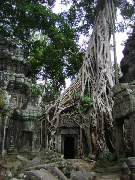 Angkor Wat Temples, Siem Reap,.,,Cambodia