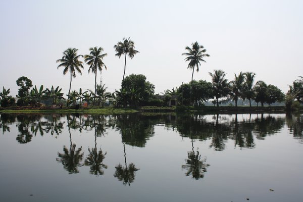 the backwaters of Kerala