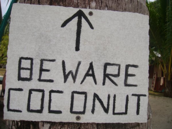 Beware of falling Coconuts it should say!