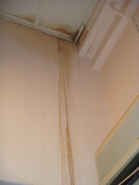 Damp patch from ceiling