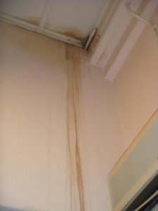 Damp patch from ceiling