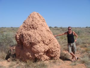 Stu with a large termite mound