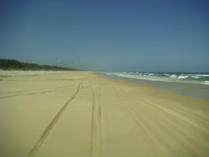 Fraser island Beach