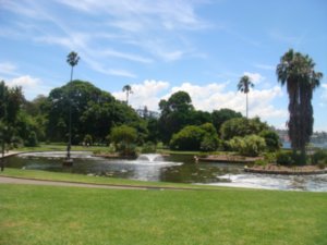 Sydney - Botanical Gardens