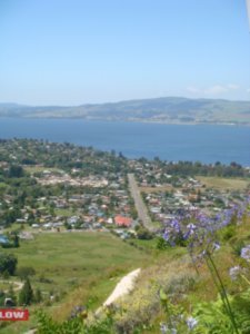 View of Rotorua