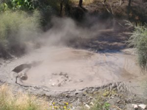 Bubbling Mud - Rotorua