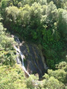 Tongoio Walk - 1st waterfall