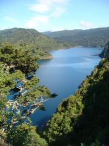 View of Lake Waikaremoana