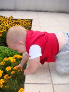 Elliot - this was just before he went head first into the flowers