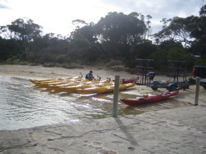 kayaking Coles Bay