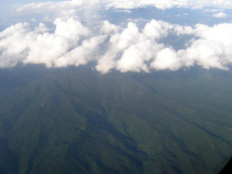 Bali Rainforest (again) from Plane