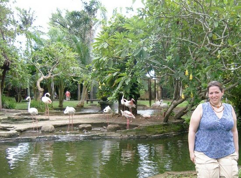 Bali Bird Park - Me and some flamingos
