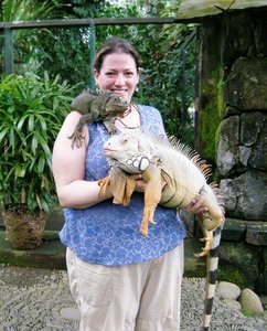 Bali Reptile Park - Really heavy lizards