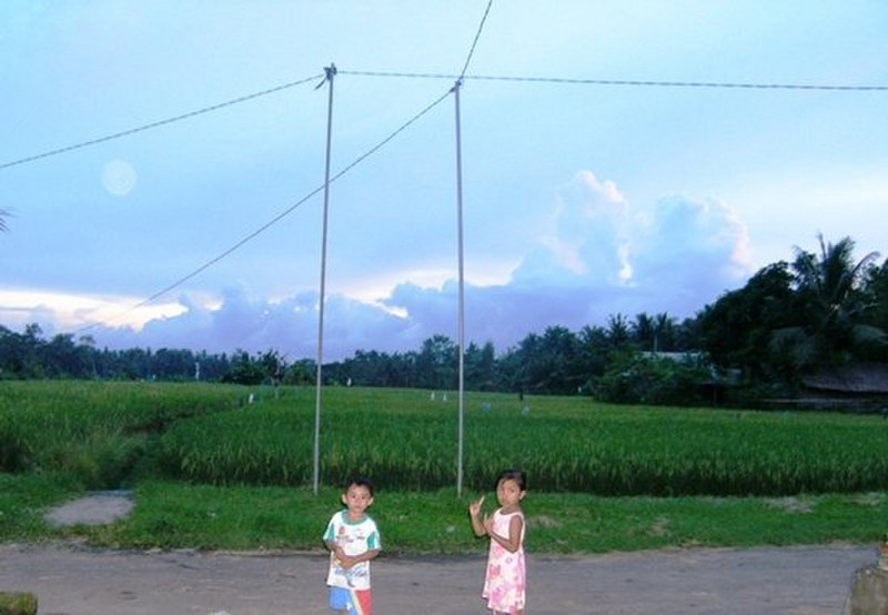 Wyan&#39;s House - The rice field V