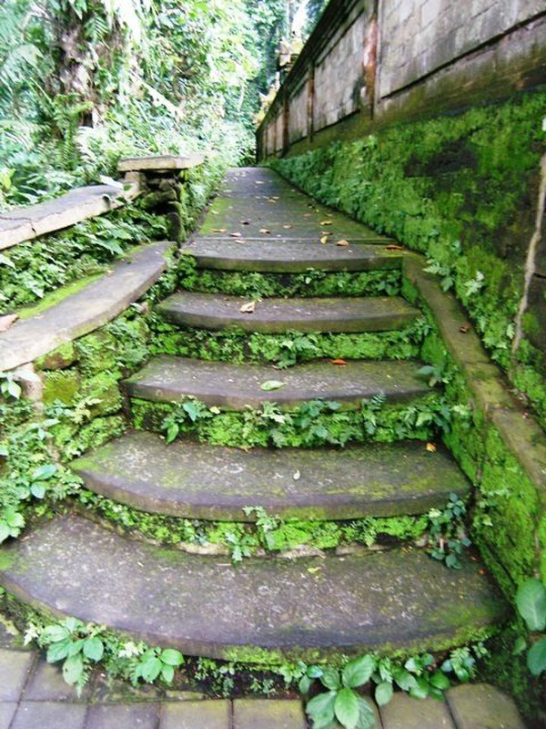 k - Cool temple steps with moss