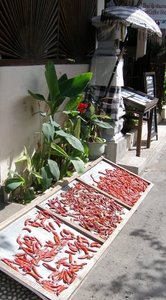 b - Chillies drying in the sun