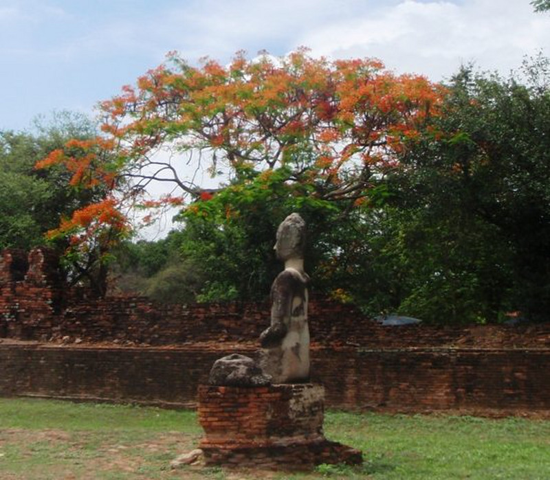 Buddha profile - ancient city ruins of Ayutthaya