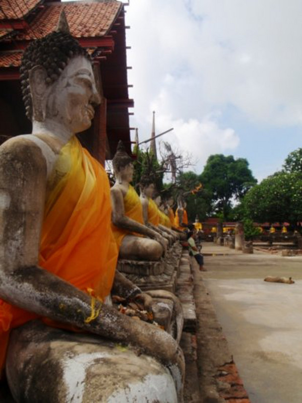 Sitting Buddhas 1