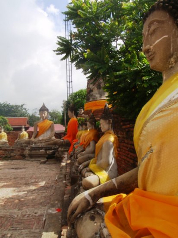 Sitting Buddhas 2