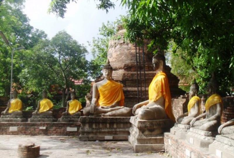 Sitting Buddhas 7