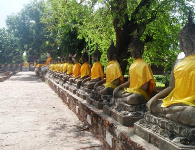 Sitting Buddhas 8