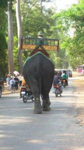 Traffic Jam along the roads at Angkor Wat