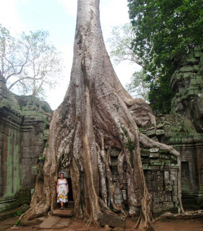 Me in the roots at Angkor Thom