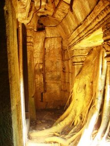 Cool sunlight in Angkor Thom