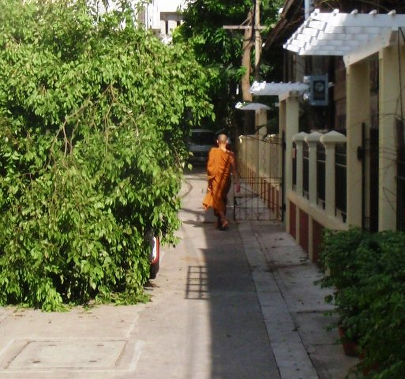 A Monk at Wat Bowon Niwet
