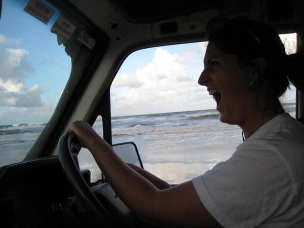 Holly bear driving on th sand highway