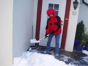 Natural snow shoveler!