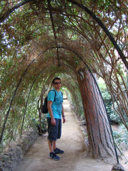 Dale in Park Guell