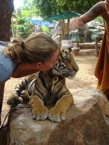 Me kissing tiger