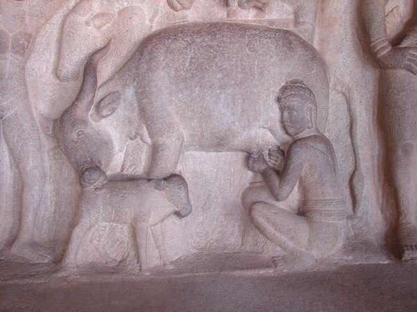 cow carvings