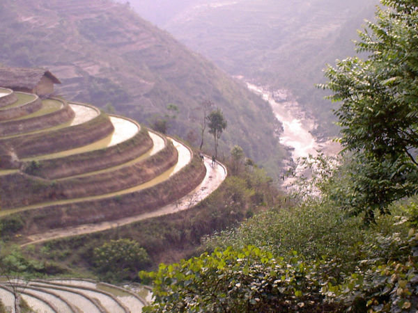 Great rice terraces