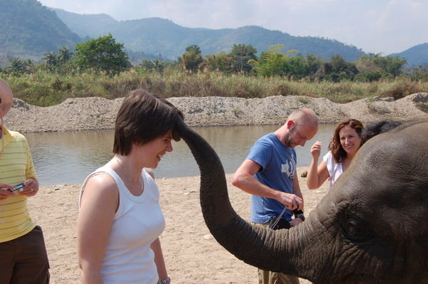 Kissed by an elephant!