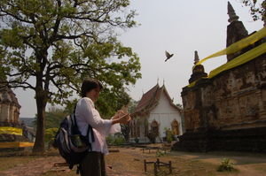 Releasing birds at Wat ched Yod