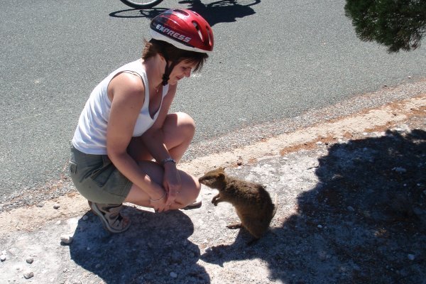 The quokkas are very friendly 