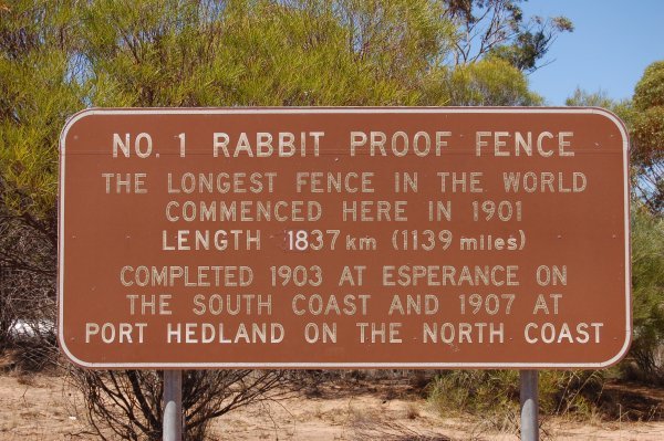 The rabbit proof fence 