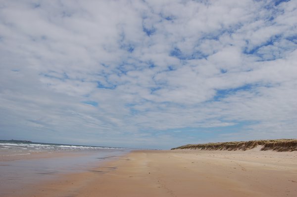 Typical Northumberland beach