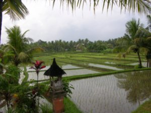 Indonesien0271