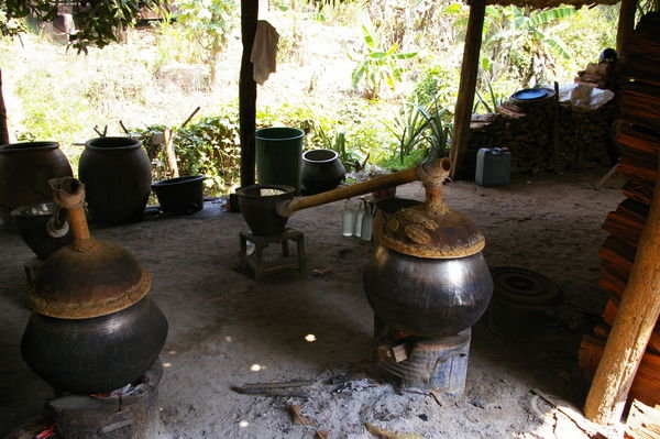 Une distillerie artisanale pres du Centre des Elephants