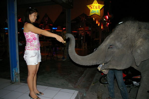 Jane qui nourrit un elephant 